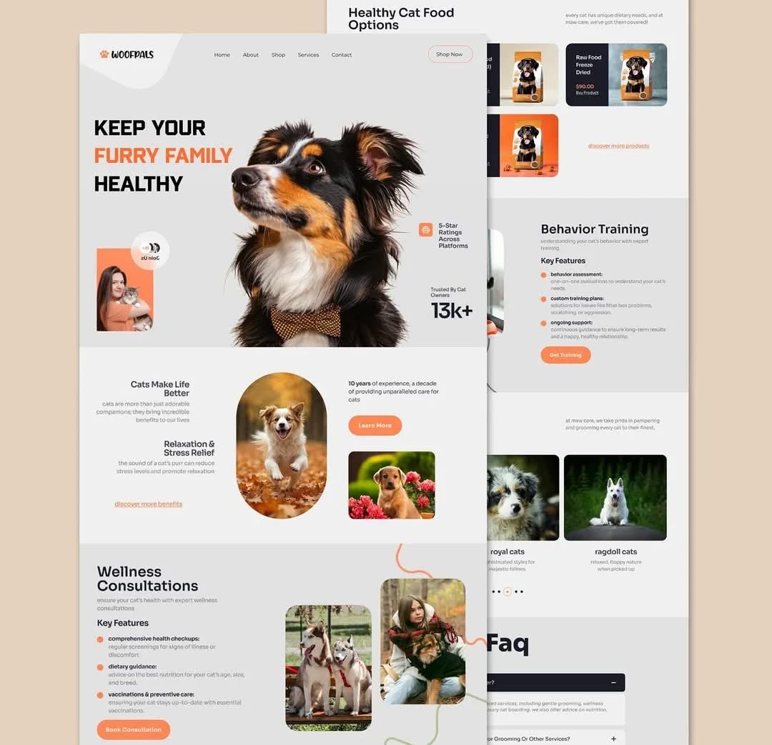 HDO Box on Firestick